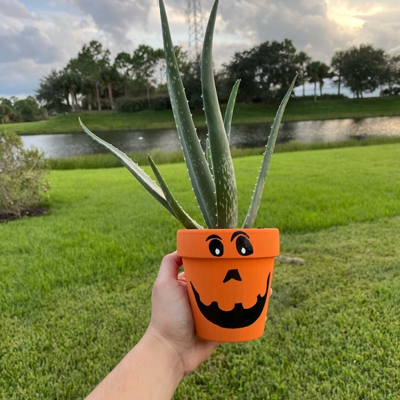 custom plants - Picture 3 of 6